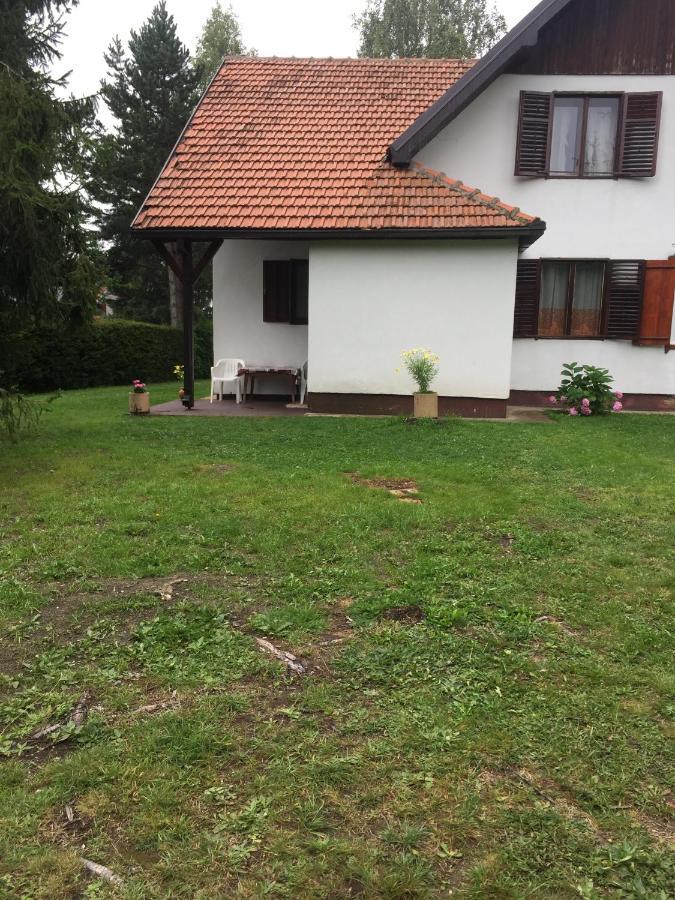 Vila Borovic Златибор Экстерьер фото